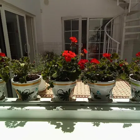 شقة Casa Alba 1 *