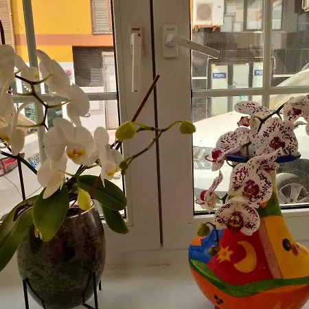 Casa Alba 1 * بويرتو ديل روزاريو