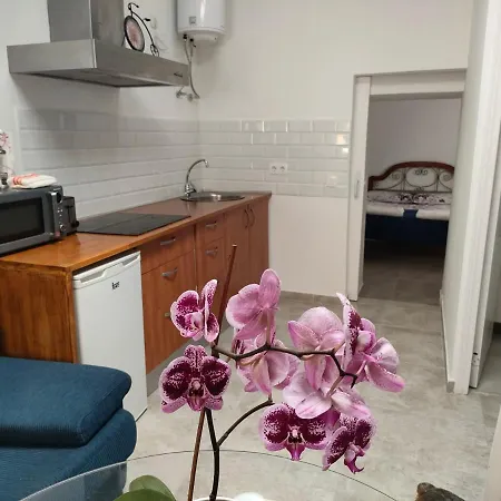 Casa Alba 1 * بويرتو ديل روزاريو