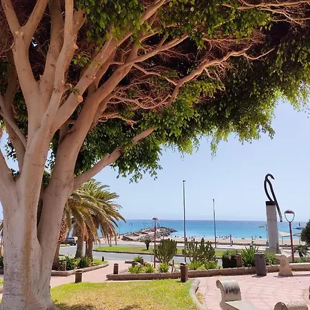 شقة Casa Alba 1 *